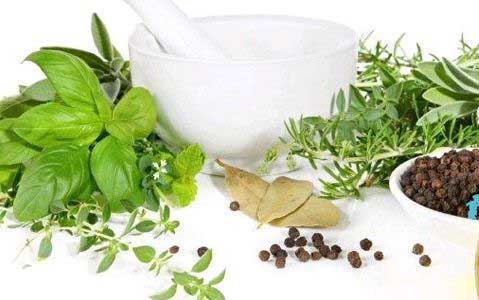 Mooligaigal-Herbs-Mooligai-Payangal-Benefits-of-Herbs