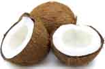 coconut, coconut benefits, thengai payanpgal, ilaneer, tender coconut, health n organics tamil, thennai maram, coconut tree benefits