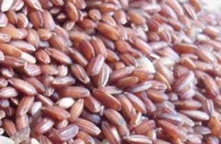 red rice, sigapu arisi, traditional rice, parampariya arisi, rice and paddy