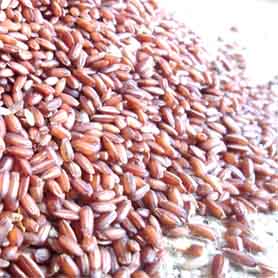 karunkuruvai rice, traditional rice, parambariya arisi, organic rice, low cost organic rice, red rice, sigapparisi, fiber rich rice, diabetic rice, weight loss rice