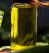 Ponnanganni Thailam Recipe in Tamil - பொன்னாங்கண்ணி தைலம் -  HealthnOrganicsTamil - Hair Oil