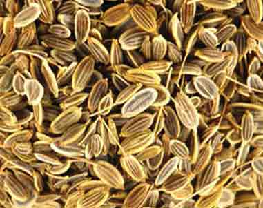 Sathakuppai Benefits tamil, dill, Anethum Graveolens