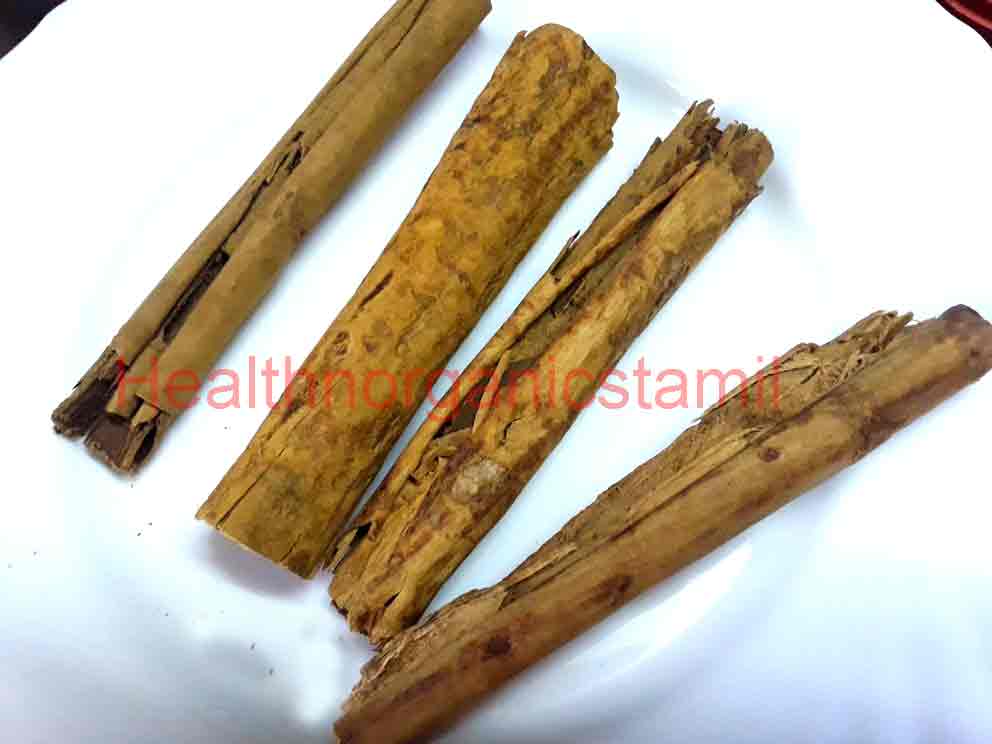 pattai benefits tamil, ceylon cinnamon uses, elavangapattai