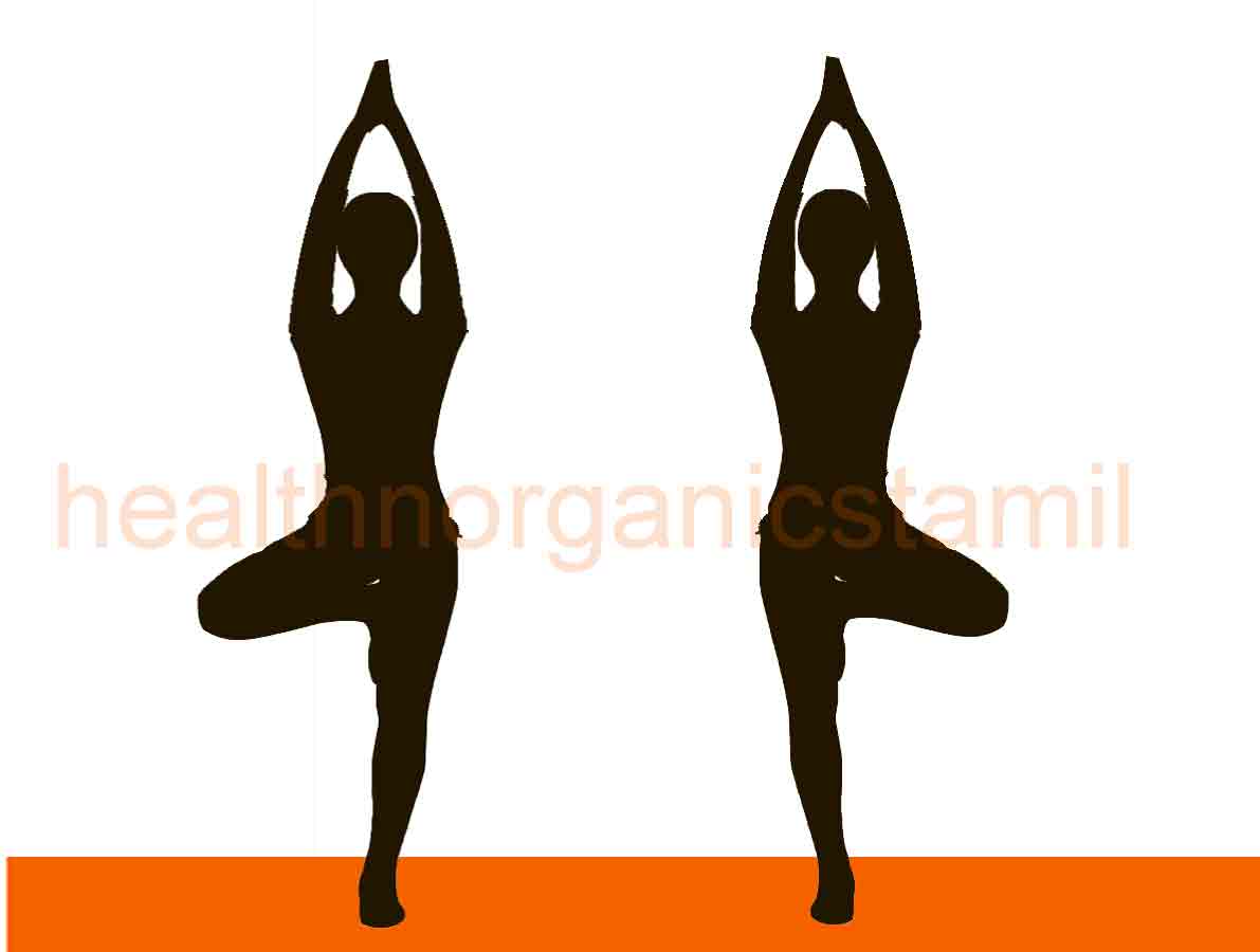 Vrikshasana benefits tamil Tree Pose yoga joint pain
