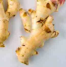 ginger-benefits-uses-tamil inji payangal