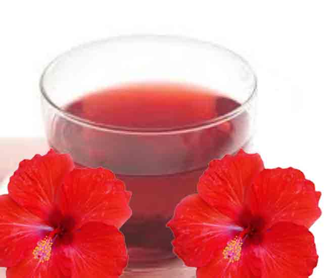 hibiscus-sarbath-recipe-tamil, sembaruthu sarbath